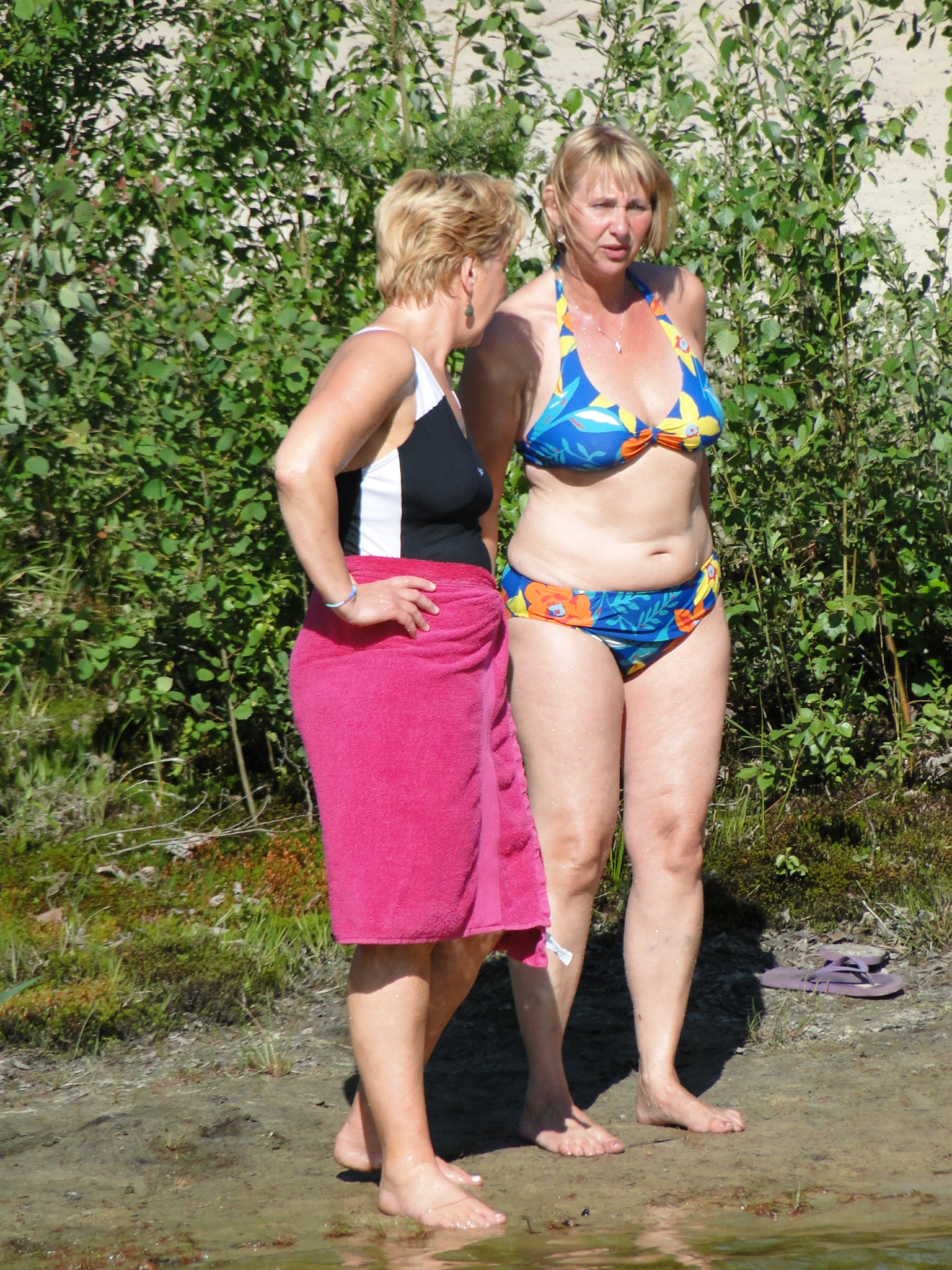 2011HWK 348.jpg